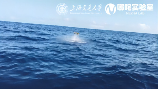 _20240725093029.png _20240725093029.png